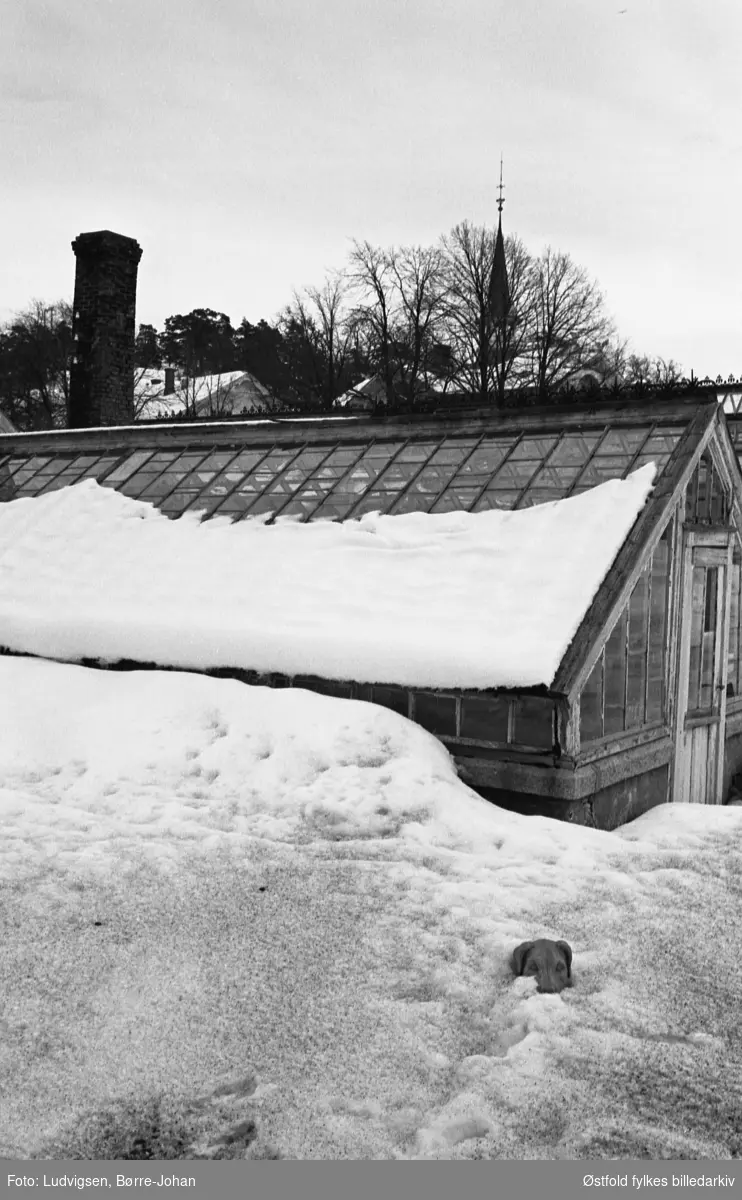 Villa Ekheim, vinter, snø, eksteriør, drivhus, , 