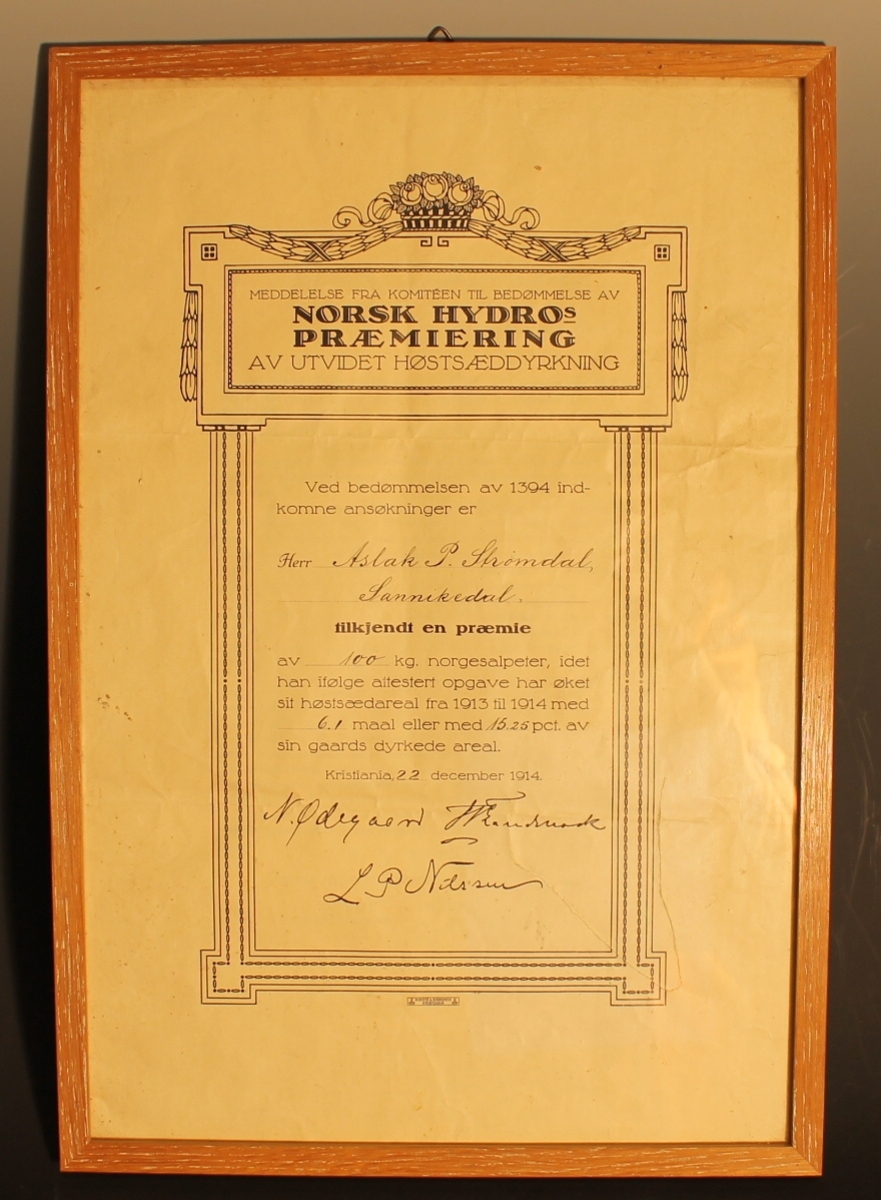 Diplom med glass og ramme.