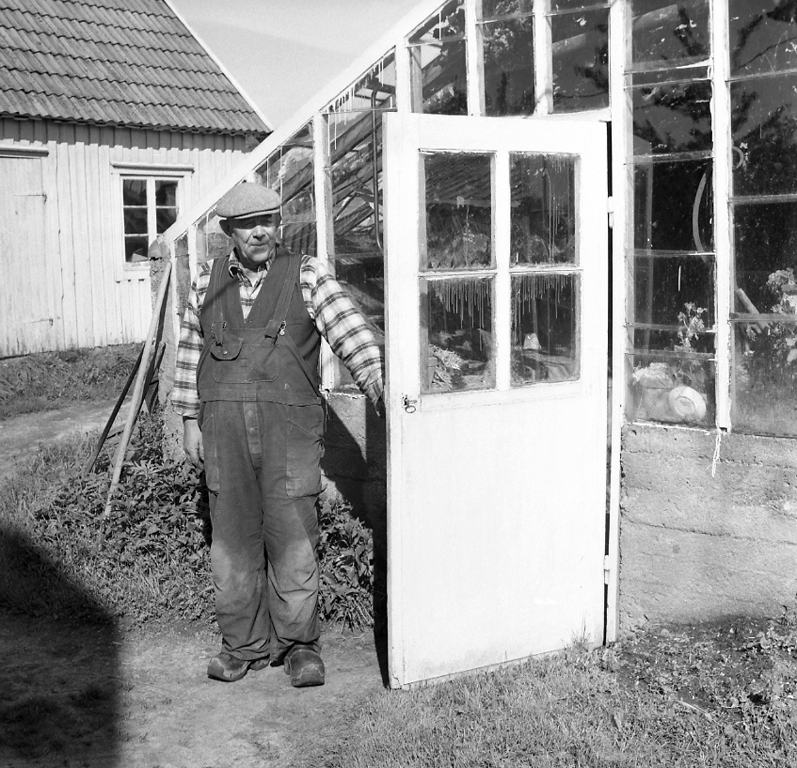 Trädgårdsmästare Axelsson i Stenungsund i juli 1960