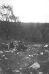 Speidere fra Vadsø på Kretsleir i Alta, 1928. Under treet st
