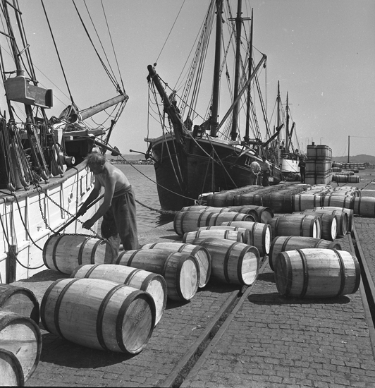 Samtidigt förvärvat: UMFA55076: 0001-0720