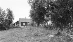 husmannsplass, bolighus, uthus, kulturlandskap, skog