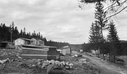 husmannsplass, tyskerbrakker, kulturlandskap, skog, vei