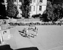 Ullevålsveien skole, skolegård, jenter, sanglek