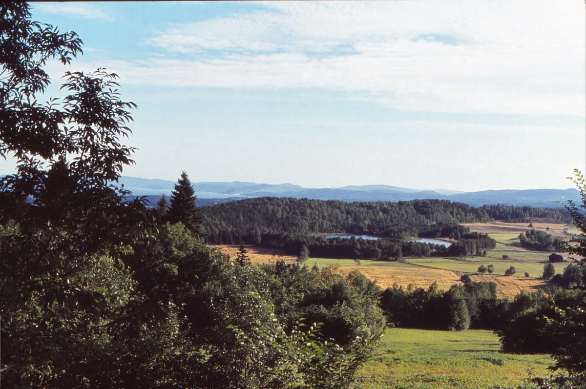 Utsikt fra Stein Gård i Bærum mot Dæhlivann.