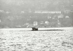 Motiv: Undervansbåt KNM "Kaura" (S 309) K-kl, dykker på Berg