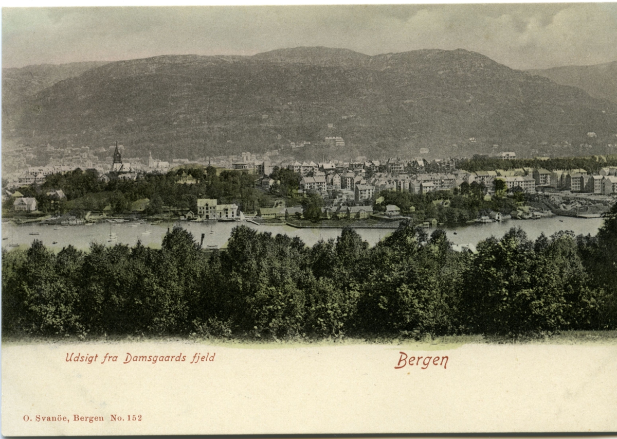 Utsikt over Bergen fra Damsgårdsfjellet.