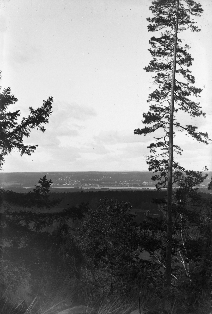 Bakom träden syns Jönköping och Munksjön.