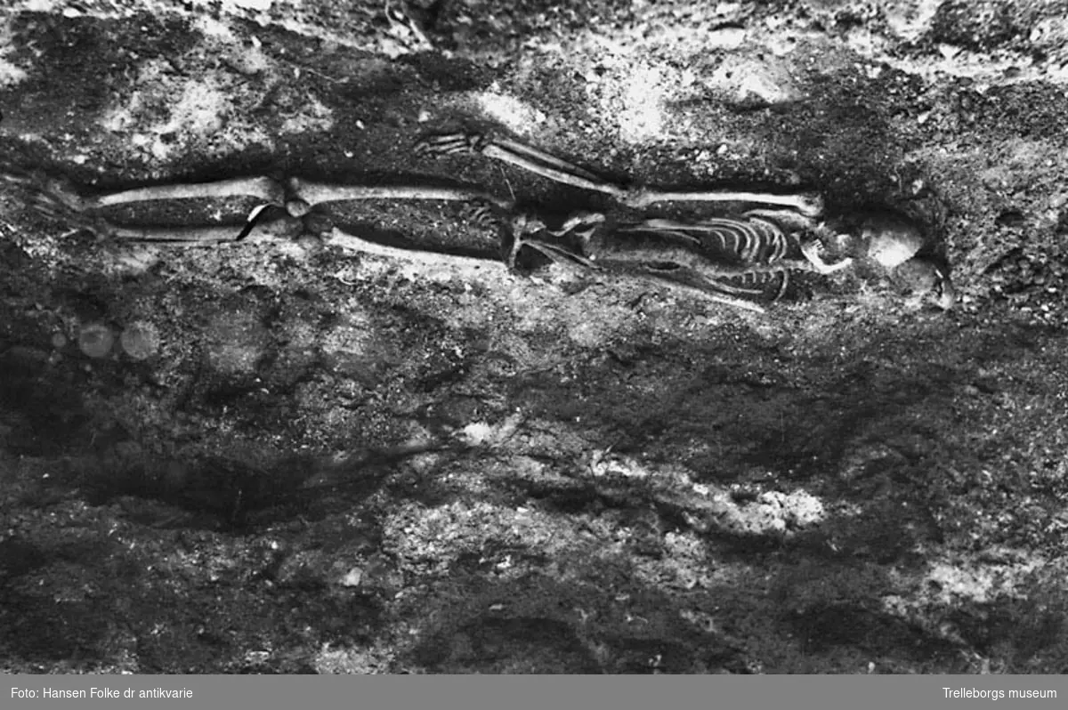 Skelettgrav funnen på stadsägan 140, Sjöviks tegelbruk i Trelleborg. Skelettet är det underst liggande och fotot är taget från väster. Accessionsboken: Förklaring till gravfynden: Skelettet c-e var försatt med en förrostad järnkniv, vilken sannolikt varit försedd med träskaft. Det överst liggande skelettet hade ingen utrustning med sig. Man lade märke till att det översta var jordat med ansiktet vänt mot östern under det att det underst liggande vände huvudet mot väst. Båda ligger över varandra i samma grav. Jordtjockleken mellan de båda var cirka 400 milimeter. Båda ligger med huvudena i nord, något orienterade mot öster. I samma grav förekom andra rester av ett mycket litet barns skelett, derav en arm och ett revben.