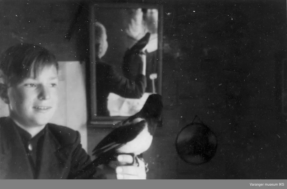 Tam skjære hos familien Riesto med en av Riestoguttene. Bildet er tatt i familiens hus i Vadsø før storbombingen i august 1944.