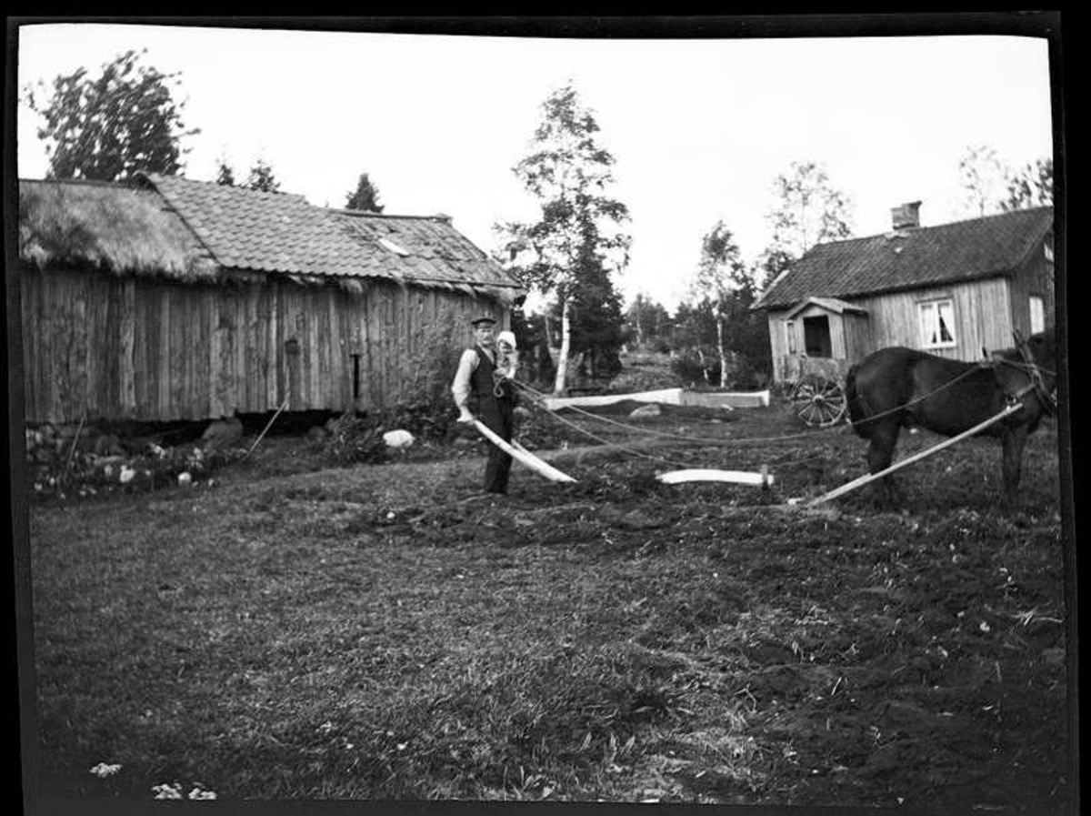 Olof Jonsson, Hjärtum 1882-11-15 och sonen Sven, Hjärtum 1915-05-14, plöjer med hästen framför den gamla ladugården, som delvis har halmtak.