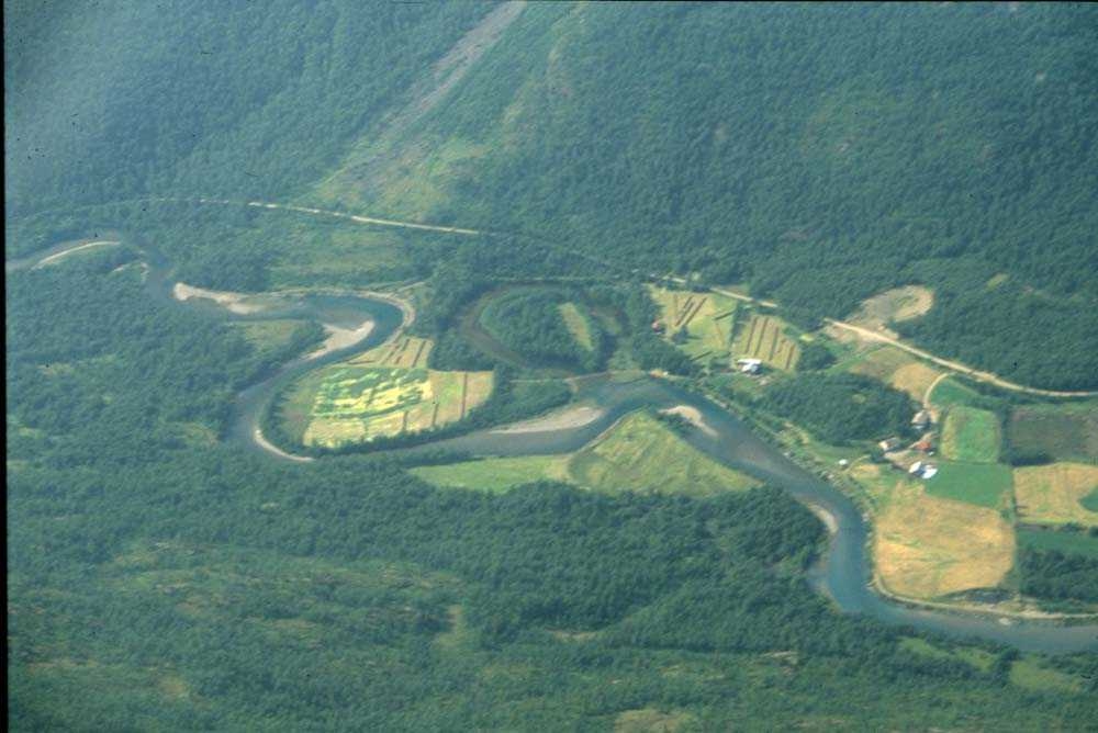 Luftfoto. En elv som slynger seg mellom skog og enger. Ett sted på Vestlandet.