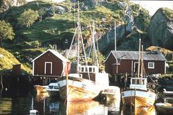 Landskap. Nusfjord. Parti fra havna med fiskebåter og rorbue