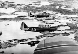 Luftfoto. 2 fly i formasjon Fairchild PT-26-FA Cornell, 189 