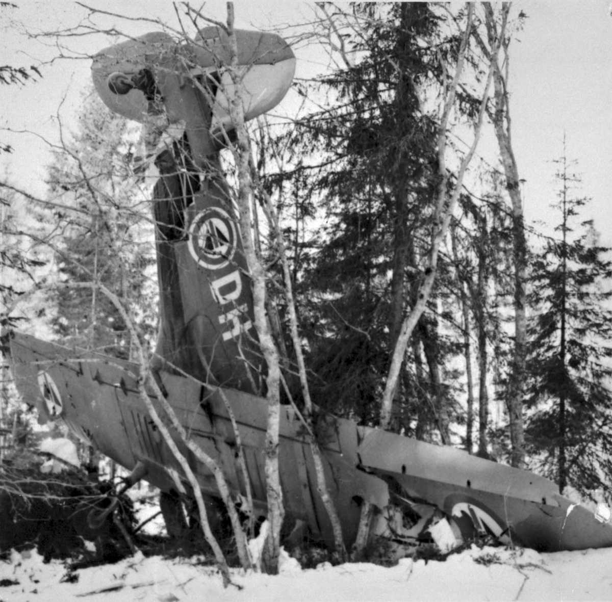 Havari - flyvrak. 1 fly på bakken mellom noen trær. Nesepartiet ned i bakken. Fairchild Cornell L-DH fra RNoAF.