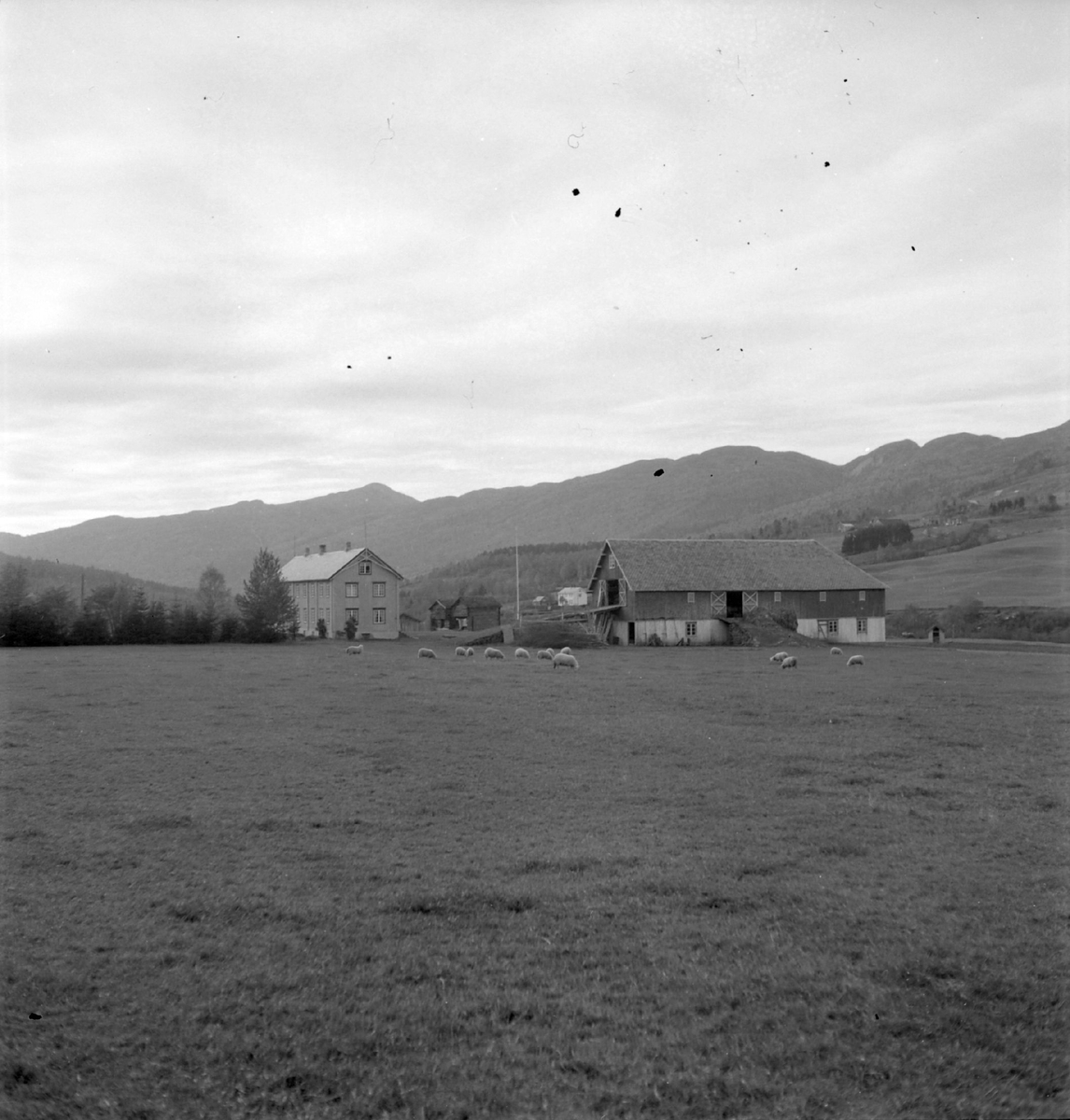 Ingebrigt Holtes gård i Rindalsskogen