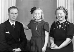 Familieportrett. Familie på tre fotografert