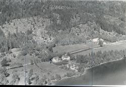 Bjørnstad i Ringelia