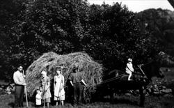 Høylasset er fult på Usland