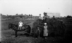 Høyonn på Høgland