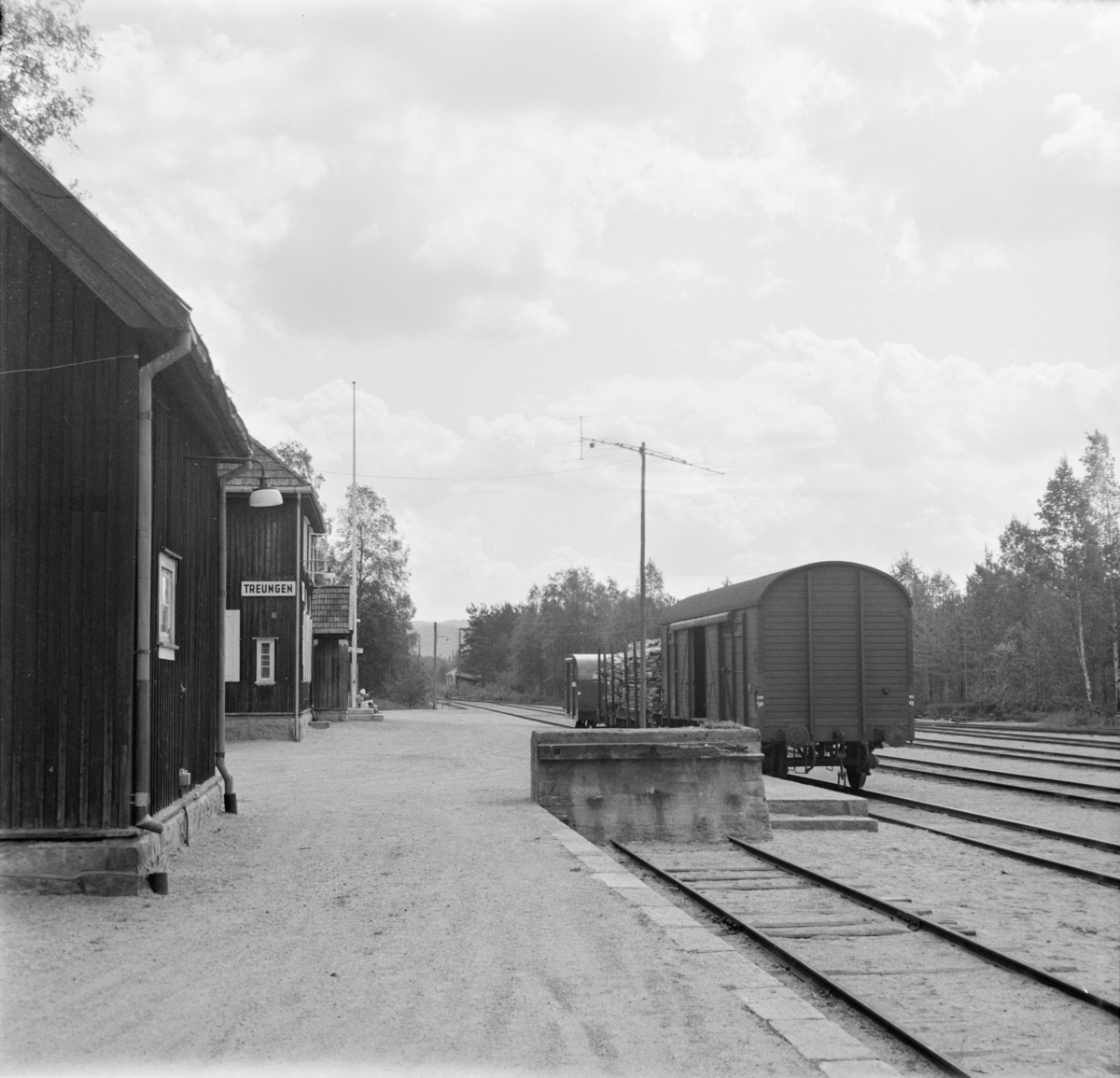 Lastede godsvogner på Treungen stasjon.