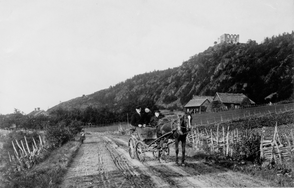 Häst och vagn på landsvägen nedanför Brahehus i Gränna. Bilden är ett fotografi för tidskriften Hemmet årg. 1900.