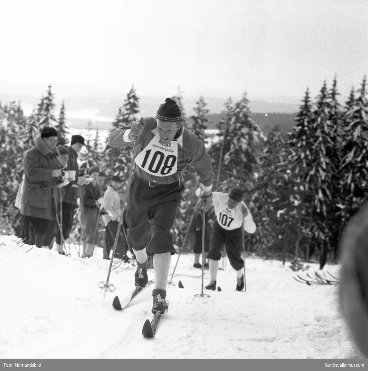 Skid-SM i Bergsåker, Sundsvall, 1955. 15 km herrar, vinnare Sixten Jernberg, Lima IF.