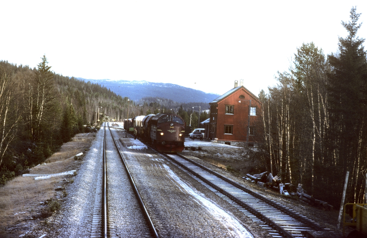Kryssing i Agle stasjon. Togekspeditøren viser signal "Passer" (grønt flagg) for tog 451, dagtoget til Bodø. Underveisegodstoget 5772 (Majavatn - Trondheim) med NSB dieselelktrisk lokomotiv Di 3 611 i spor 1.