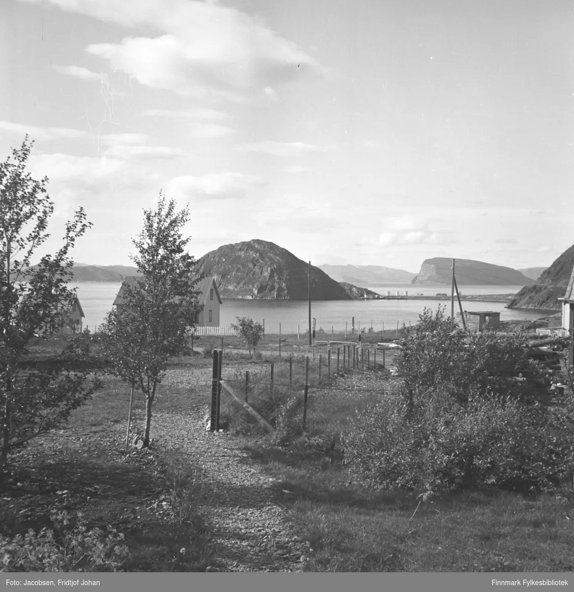 Utsikt fra Arne Nakkens eiendom i Bjørkåsen i Rypefjord. En stor inngjerdet hage med en del løvtrær stående. En liten gangsti med grusdekke går nedover hagen mot Fjordaveien. Noen el-stolper står i veikanten og et par hus skimtes i terrenget til venstre på bildet. Helt til høyre på bildet ses enden av Rypefjell. Esso-anlegget på Rypklubbeidet og Rypklubben ses på andre siden av Rypefjorden. Øya Håja ses over tankanlegget med Sørøya liggende bak.