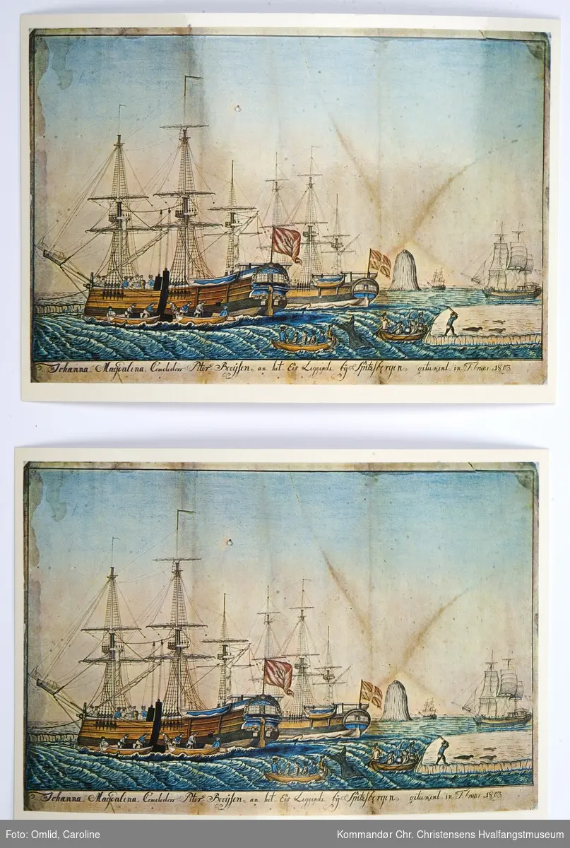 Postkort. Hval- og kobbefangst under Spitzberg, 1803.