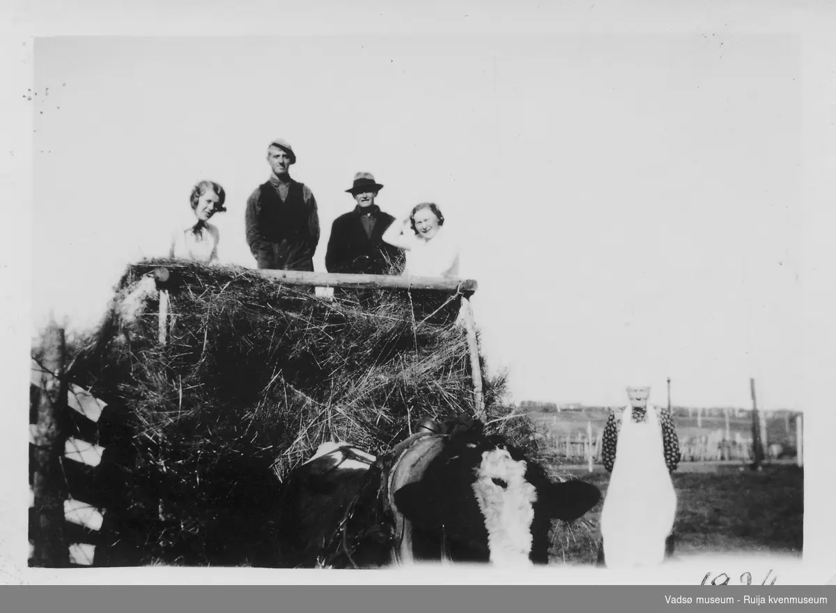 Mennesker på høylasset, trukket av Hallonens okse ved navn "Polle". Eldre dame står ved siden av. Den høyeste mannen på lasset er Oskar "Kakao" Tapio og til høyre for han Kefas Korvanen. 1934