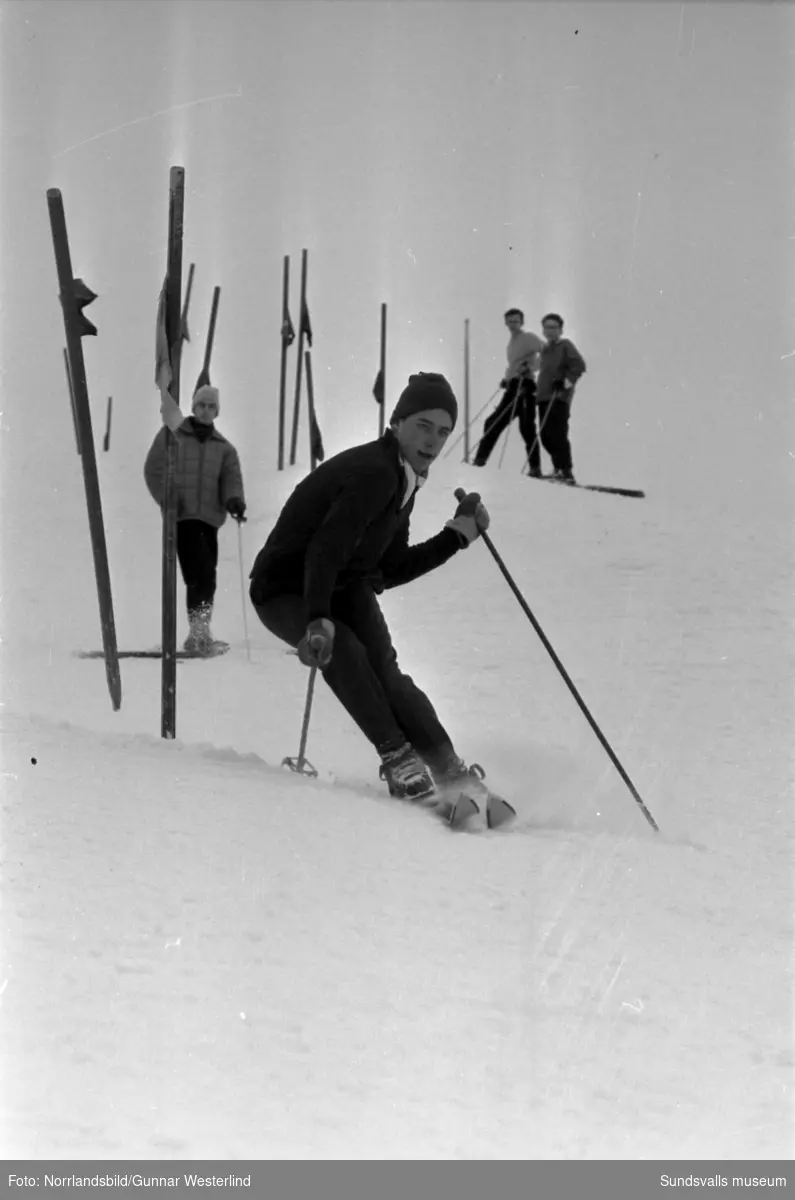Slalomträning i Sundsvallsbacken.