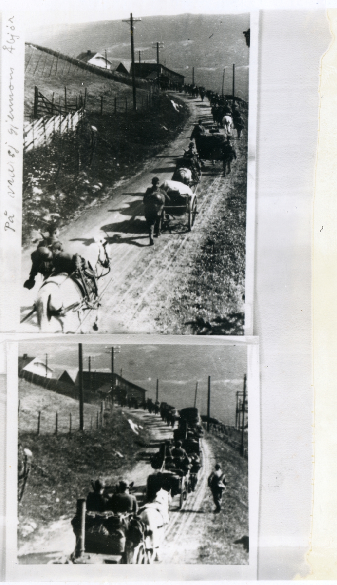 To motiv med tyske soldatar på veg frå Gol til Valdres ca. 30. april. Her på veg gjennom Åbjør.