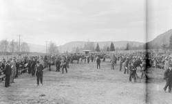 Hingsutstilling på Smestadmoen. Publikum.