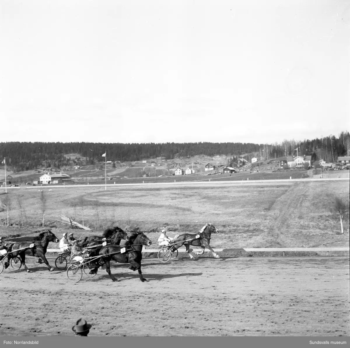 Travtävlingar på Bergsåker 1954 med storpublik.