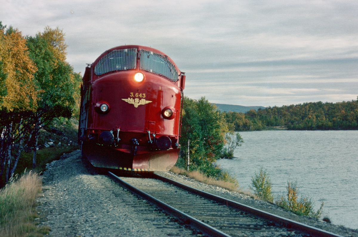 Rørosbanens nordgående dagtog, tog 301, ved Rugelsjøen med NSB dieselelektrisk lokomotiv Di 3b 643.