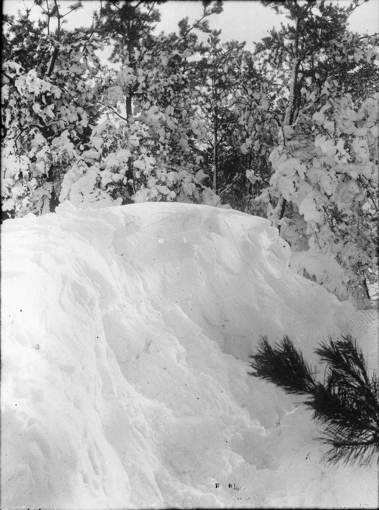 Vinterbild från år 1929  Skräcklan  Vänersborg