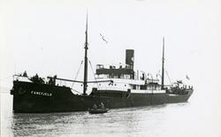 D/S Fanefjeld (b.1921,  C. van der Giessen & Zonen’s Scheeps