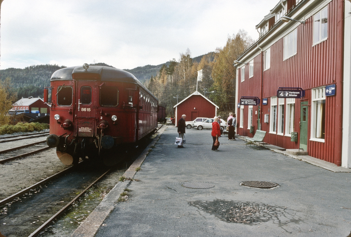 Rødberg stasjon. Persontog fra Kongsberg har ankommet i spor 1. NSB dieselmotorvogn BM 86K 15