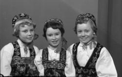 Gruppe,frå V.Sigrid Hoftun,Magnhild Treverket og Berit Eikle