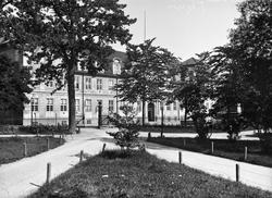 Domkirkegården park i Trondheim. med Thomas Angells Hus med 