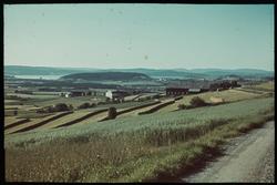 Skogn med utsikt mot Holåsen og Trondheimsfjorden