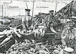 Sør - Gjæslingan - Skreifangst