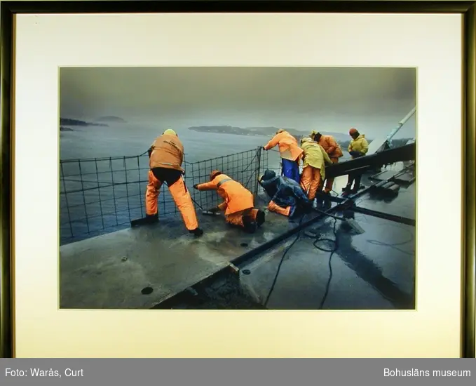Tufft jobb. Skanskas arbetare göt ihop sista delen av Uddevallabron i isande storm den 17 december 1999