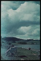 Utsikt fra Johnsborg ved Trondheimsfjorden.