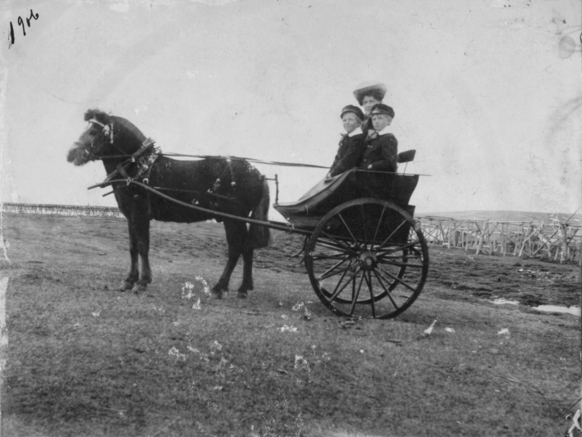 Tommeliten Hest med vogn bak. En dame og to gutter sitter i vogna.Hjeller i bakgrunnen.