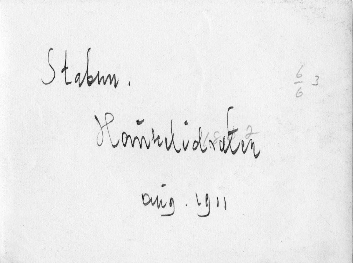Fotoarkivet etter Gunnar Knudsen. Stabbur på Haukeliseter fotografert august, 1911.