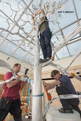 Fra arbeidet med utstillingsprosjektet «Det fantastiske tree