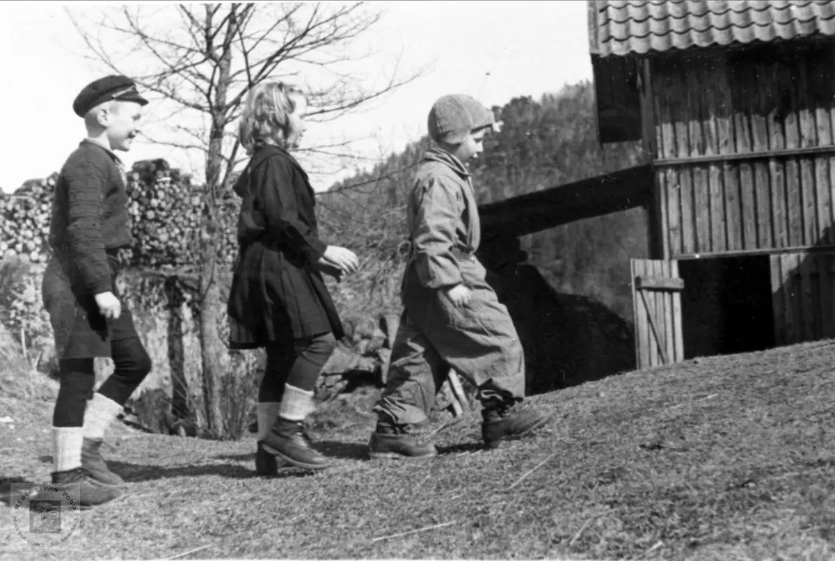 17. maitog 1941 på Trygsland