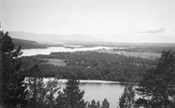 Altaelva en sommerdag. Noen trær står helt foran på bildet. 